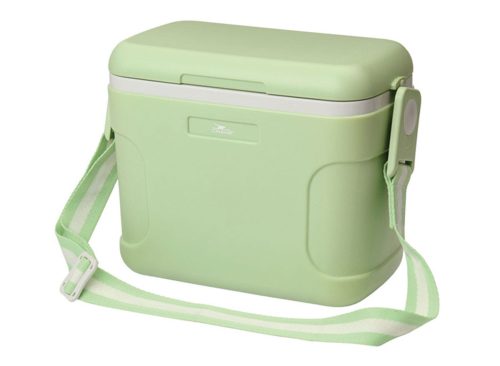 Carry Cooler with Ice Brick - Green