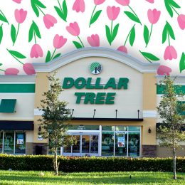 Dollar Tree