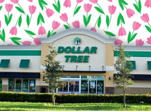Dollar Tree