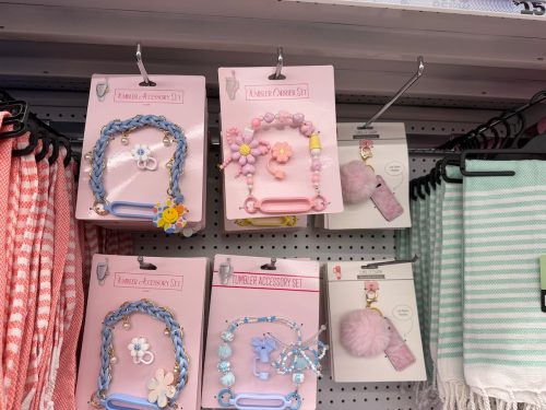 Five-Below-Hidden-Gems-tumbler-accessories
