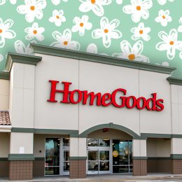 HomeGoods