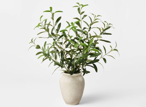 Large Olive Leaf Arrangement - Threshold™ designed with Studio McGee