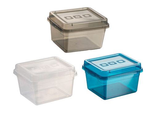 Rectangular Translucent Plastic Storage Containers with Lids