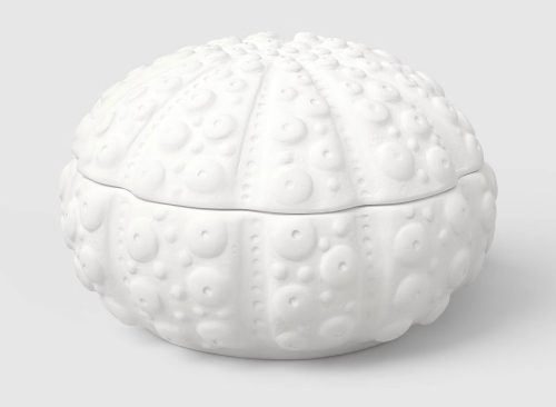 Seashell Box - Threshold™