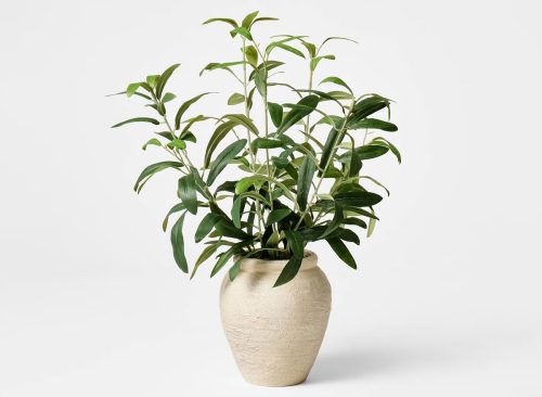 Small Olive Leaf Arrangement - Threshold™ designed with Studio McGee