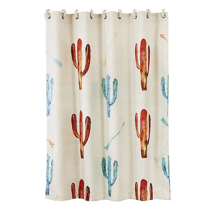 Paseo Road Cactus & Arrow Shower Curtain
