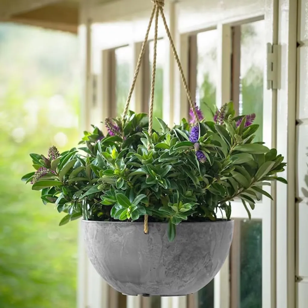 Root & Vessel Self-Watering Hanging Planter