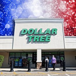 Lakeland, Florida USA - 01 05 26: Dollar tree retail store and people clear blue sky