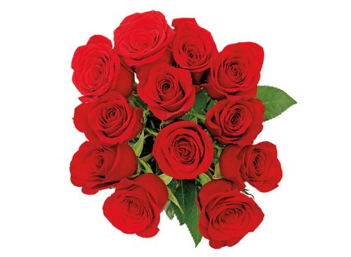 A Dozen Cut Roses