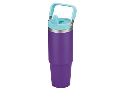  Adventuridge 30 oz Carry Handle Stainless Steel Bottle - Purple/Teal
