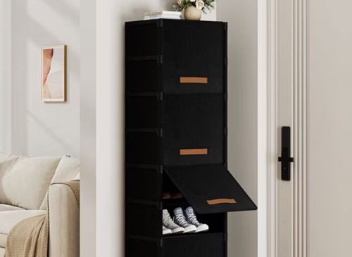 BGTREND 9 Tier Narrow Shoe Rack with Covers Shoe Storage Organizer Holds 18 Pairs for Closet Entryway Hallway, Black