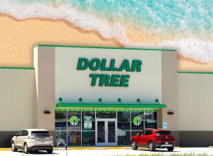 Dollar Tree