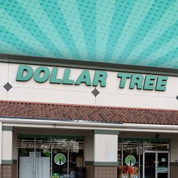 11 Best Dollar Tree Kitchen Finds Under $2