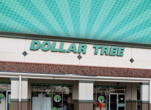 11 Best Dollar Tree Kitchen Finds Under $2