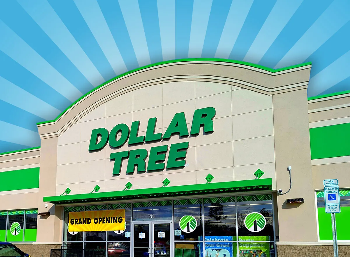 11 Best New Dollar Tree Storage Finds Under $5