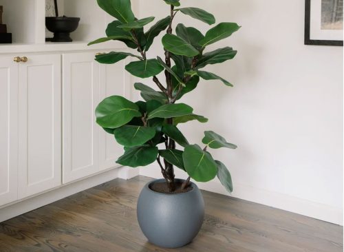 Faux 5' Slim Fig Tree