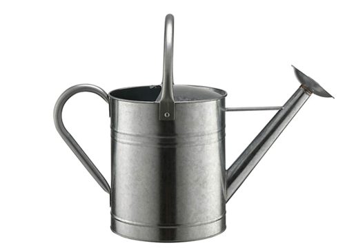 GroundWork 2 gal. Metal Watering Can