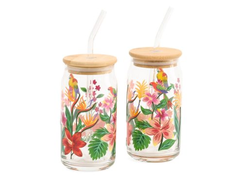 JP GLASSWARE 2pk Handpainted Flower And Parrot Sipper Glasses