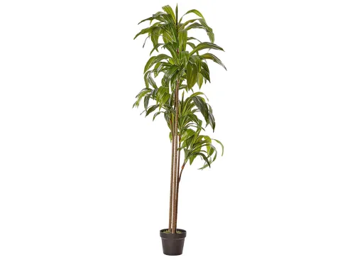 Nearly Natural 6ft. Dracaena Silk Plant (Real Touch)