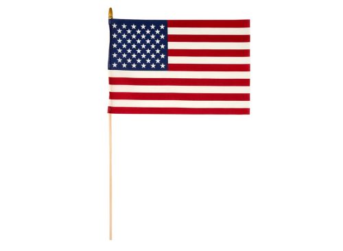 Patriotic Hand-Held American Flag with Gold Stick and Finial, 12 in x 18 in