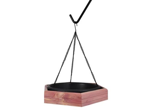 Pennington Red Cedar 2 in 1 Wild Bird Bath and Wild Bird Feeder