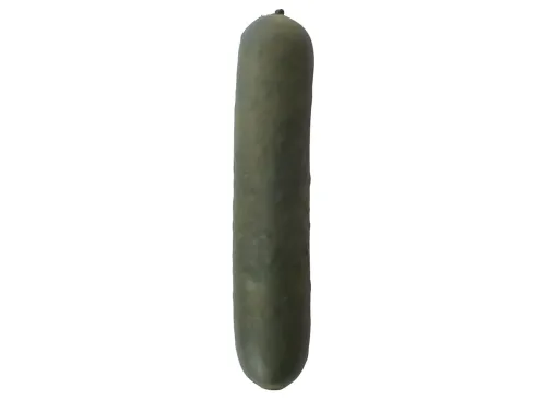 SmushMart Squishy Pickle