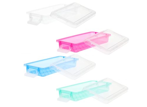 Teaching Tree Rectangle Organzer with 2 Lock Containers, 9x4x1.5 in