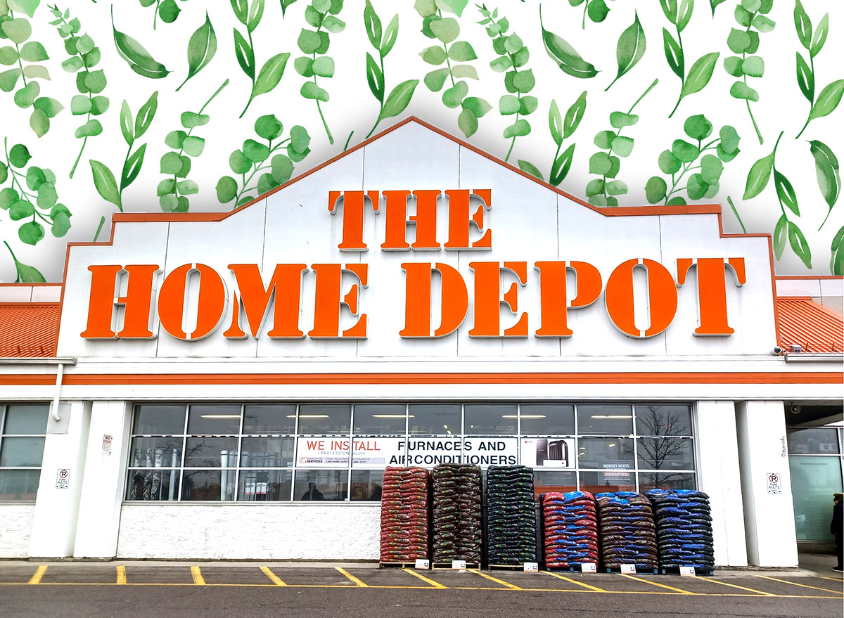 The Home Depot