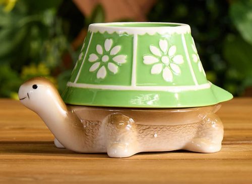 Turtle Measuring Cup Set