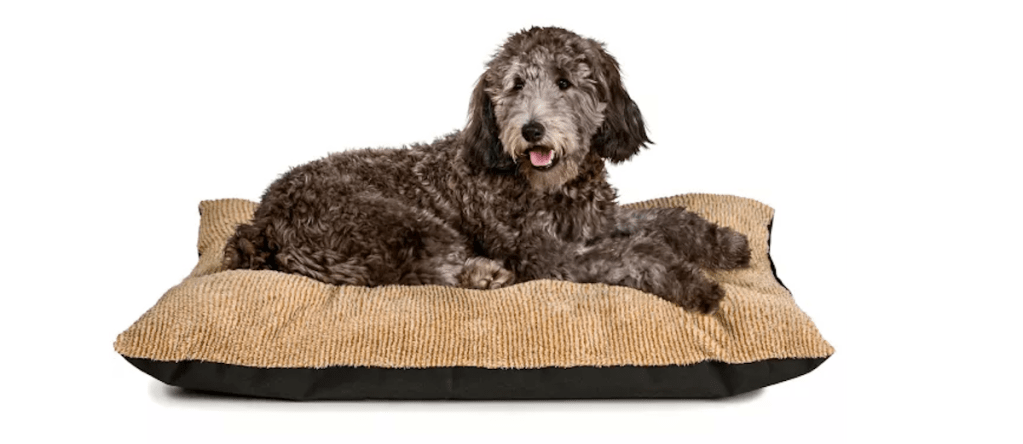Retriever Rectangular Pillow Pet Bed