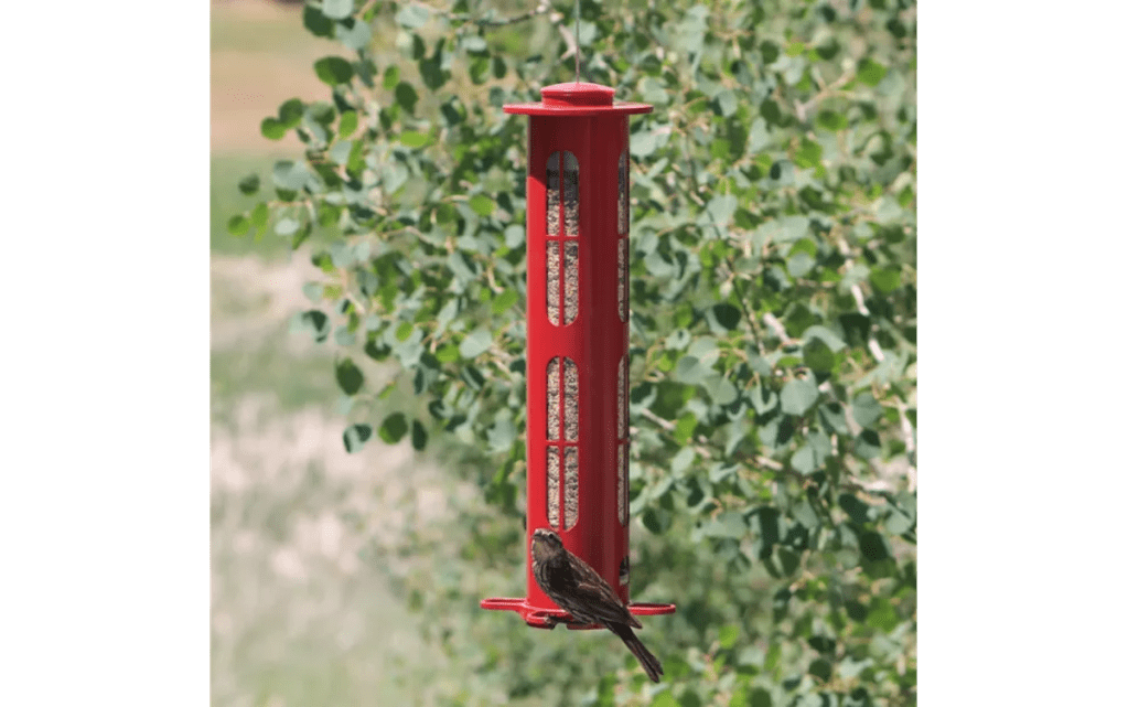 Squirrel-X X8 Squirrel-Resistant Bird Feeder
