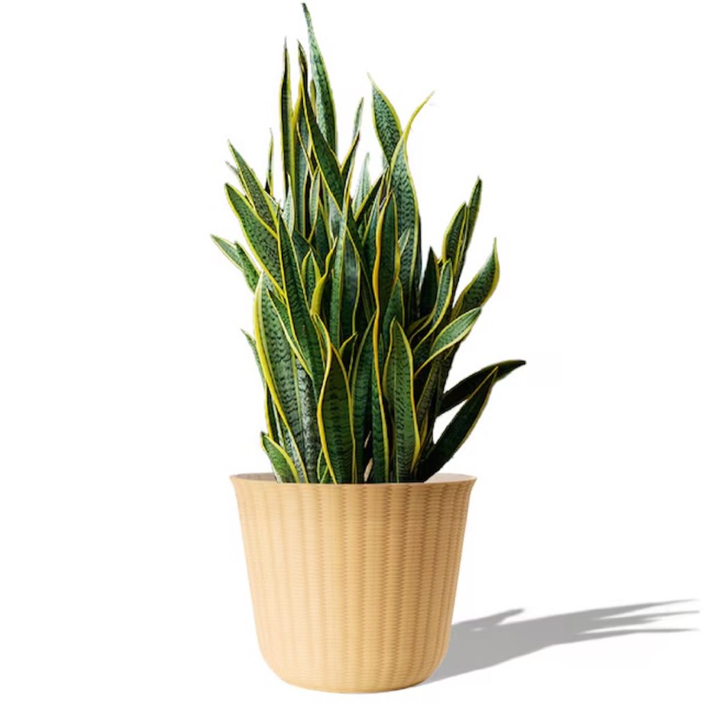 Style Selections Clay Wash Planter