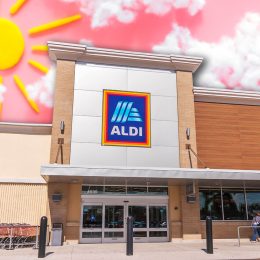 11 Best New Aldi Home Finds Under $15 Hitting Shelves Before August. Cape Coral, FL / USA - 1/23/20 Aldi in Cape Coral’s Coralwood Shopping Center during the day, Aldi a global family-owned discount supermarket chain based out of Essen, Germany