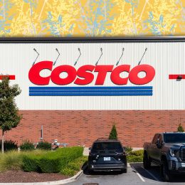 11 Best New Costco Finds Under $20. Apex, North Carolina - November 1 2025: Costco Wholesale Logo On Exterior Storefront Building Display Signage At Warehouse Club Location