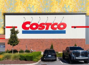 11 Best New Costco Finds Under $20. Apex, North Carolina - November 1 2025: Costco Wholesale Logo On Exterior Storefront Building Display Signage At Warehouse Club Location