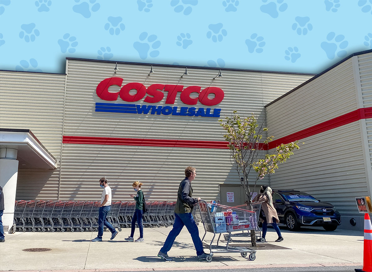 11 Best New Costco Pet Finds Under $30. Wheaton, Maryland / USA - April 10, 2020: To practice social distancing & prevent the spread of the COVID-19 virus, Costco requires customers to wait outside to limit the number of in-store shoppers.