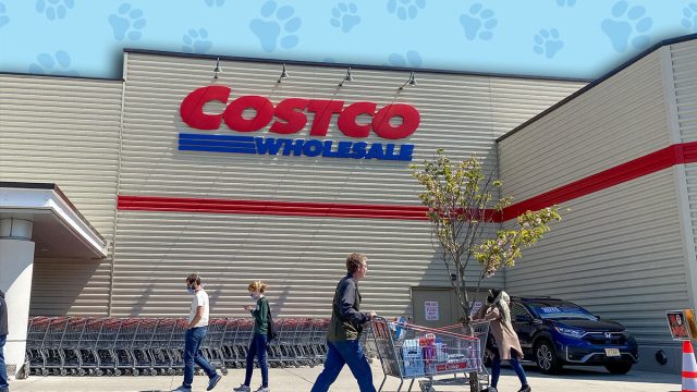 11 Best New Costco Pet Finds Under $30. Wheaton, Maryland / USA - April 10, 2020: To practice social distancing & prevent the spread of the COVID-19 virus, Costco requires customers to wait outside to limit the number of in-store shoppers.