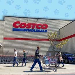 11 Best New Costco Pet Finds Under $30. Wheaton, Maryland / USA - April 10, 2020: To practice social distancing & prevent the spread of the COVID-19 virus, Costco requires customers to wait outside to limit the number of in-store shoppers.