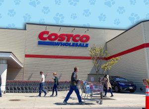 11 Best New Costco Pet Finds Under $30. Wheaton, Maryland / USA - April 10, 2020: To practice social distancing & prevent the spread of the COVID-19 virus, Costco requires customers to wait outside to limit the number of in-store shoppers.