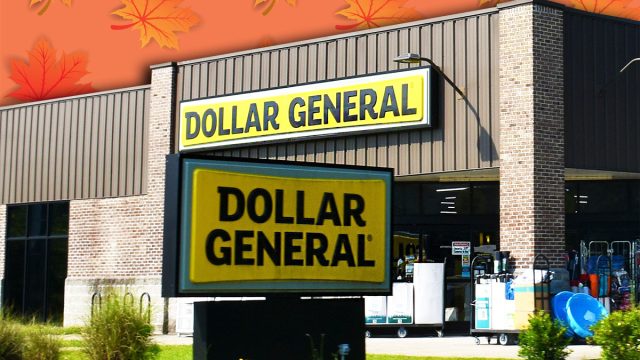 11 Best New Dollar General Fall Entryway Finds Under $5. Dollar General Store in Wilmington, North Carolina, USA, June 23, 2025