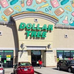 11 Best New Dollar Tree Back-to-School Finds Under $5. HUMBLE, TX, US-FEB 25, 2017: Customers enter Dollar Tree, an American chain of discount variety items for $1 or less. Headquartered in Chesapeake, Virginia with 13,6K stores throughout US and Canada.