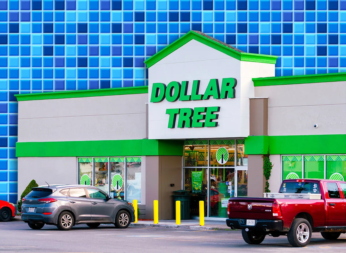 11 Best New Dollar Tree Bathroom Organizers Under $3