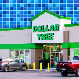 11 Best New Dollar Tree Bathroom Organizers Under $3. Rome, NY - Jul 20, 2025: Dollar Tree Store, is a Fortune 200 company and a leading operator of discount variety stores in North America. It operates over 16000 stores across North America