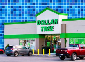 11 Best New Dollar Tree Bathroom Organizers Under $3. Rome, NY - Jul 20, 2025: Dollar Tree Store, is a Fortune 200 company and a leading operator of discount variety stores in North America. It operates over 16000 stores across North America
