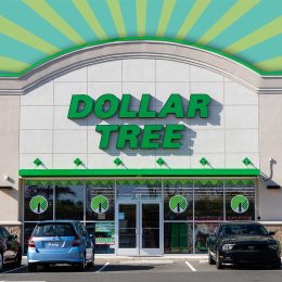 11 Best New Dollar Tree Fall Finds Under $2. Apex North Carolina - January 1 2026: Dollar Tree New Store Display Exterior Storefront With Iconic Green Logo On Sunny Day