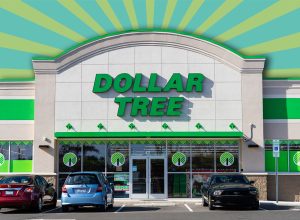 11 Best New Dollar Tree Fall Finds Under $2. Apex North Carolina - January 1 2026: Dollar Tree New Store Display Exterior Storefront With Iconic Green Logo On Sunny Day