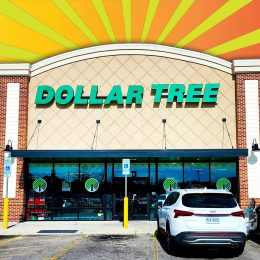 11 Best New Dollar Tree Fall Finds Under $1.50. Dollar Tree Store Exterior, Fayetteville, North Carolina, USA, February 12, 2026