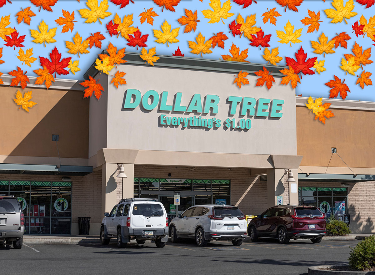11 Best New Dollar Tree Fall Kitchen Finds for $1.50. Prescott - Circa September 2021: Dollar Tree Discount Store. Dollar Tree offers an eclectic mix of products for a dollar.