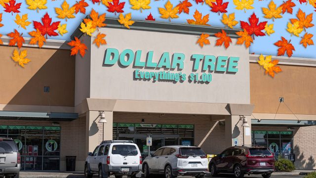11 Best New Dollar Tree Fall Kitchen Finds for $1.50. Prescott - Circa September 2021: Dollar Tree Discount Store. Dollar Tree offers an eclectic mix of products for a dollar.