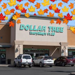 11 Best New Dollar Tree Fall Kitchen Finds for $1.50. Prescott - Circa September 2021: Dollar Tree Discount Store. Dollar Tree offers an eclectic mix of products for a dollar.